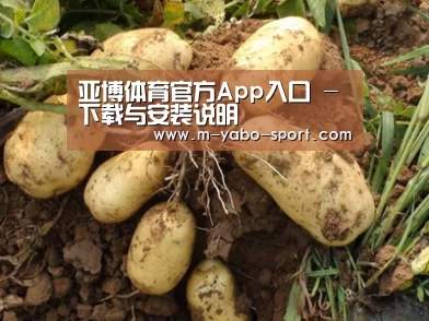 种植基地六