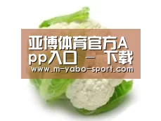产品名称九