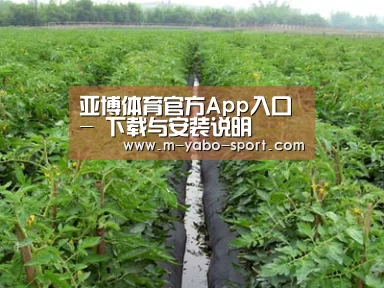 种植基地三
