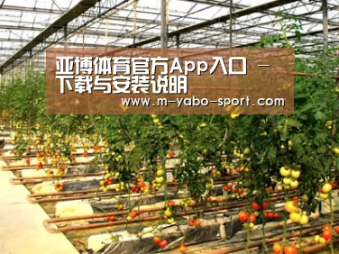 种植基地二(图1)