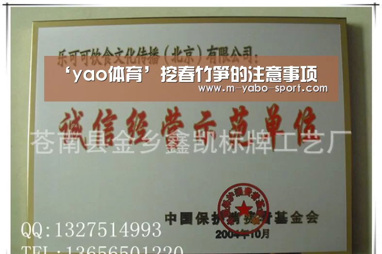 yao体育